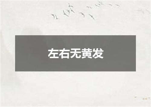 左右无黄发