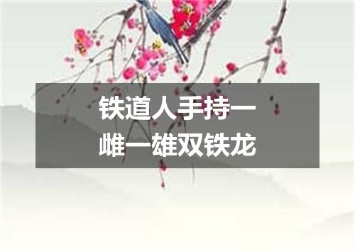 铁道人手持一雌一雄双铁龙
