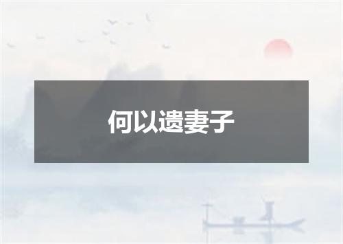 何以遗妻子