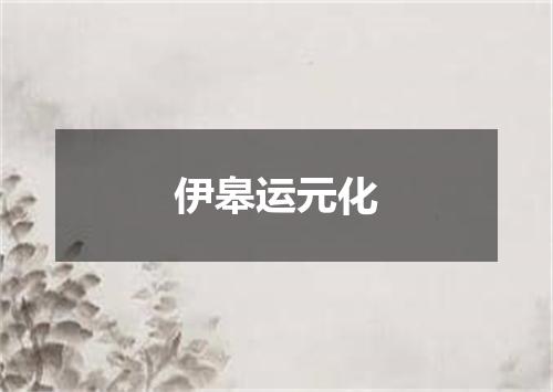 伊皋运元化
