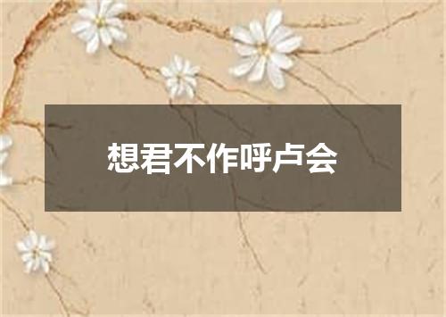 想君不作呼卢会