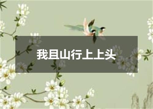 我且山行上上头
