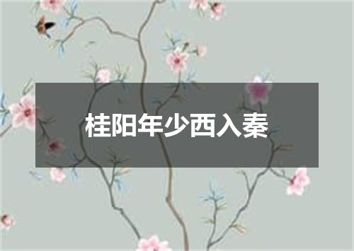 桂阳年少西入秦