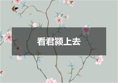 看君颍上去