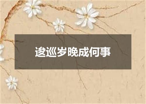 逡巡岁晚成何事