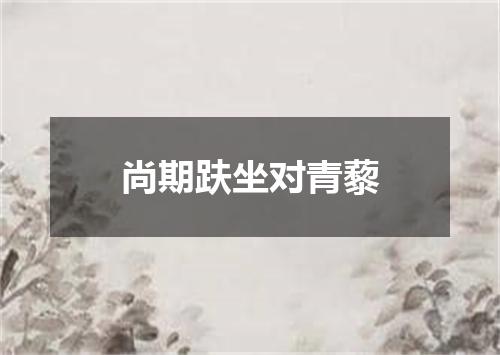 尚期趺坐对青藜