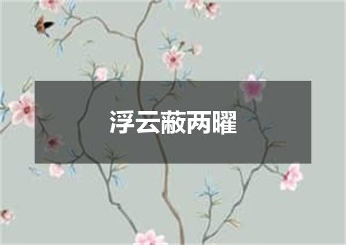浮云蔽两曜