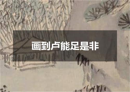 画到卢能足是非