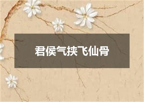 君侯气挟飞仙骨