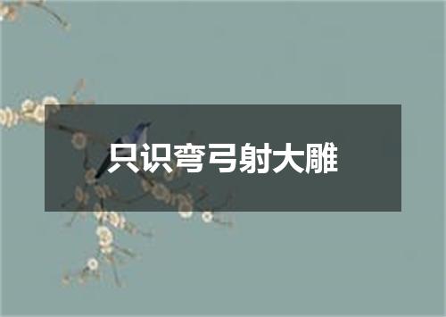 只识弯弓射大雕