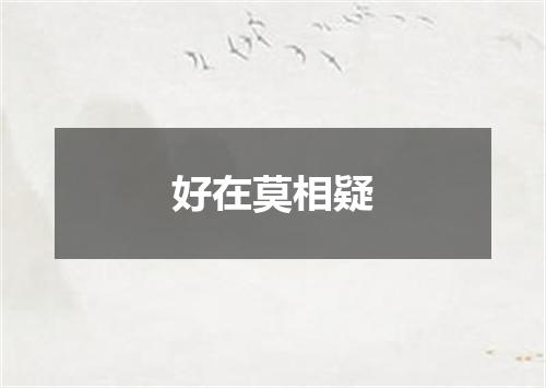 好在莫相疑