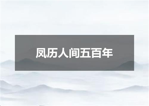 凤历人间五百年