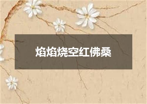 焰焰烧空红佛桑