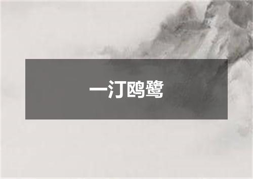 一汀鸥鹭