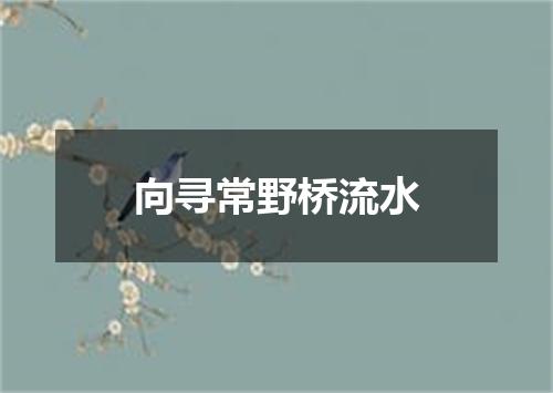 向寻常野桥流水