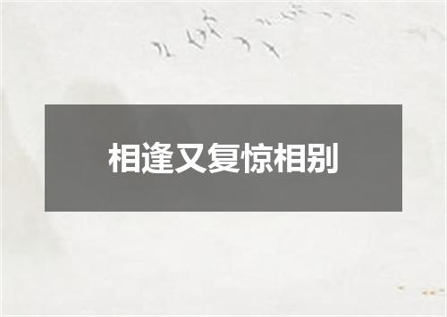相逢又复惊相别