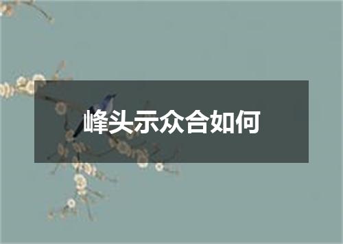峰头示众合如何