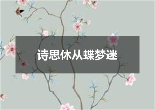 诗思休从蝶梦迷