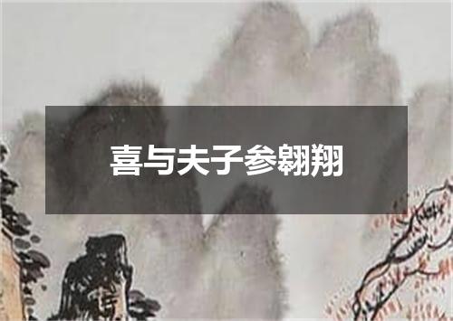 喜与夫子参翱翔