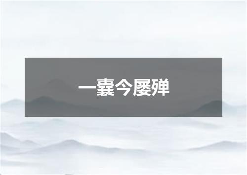 一囊今屡殚