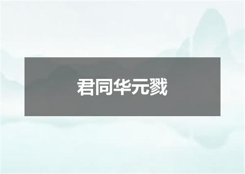君同华元戮