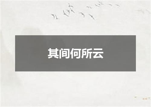 其间何所云