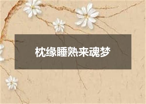 枕缘睡熟来魂梦