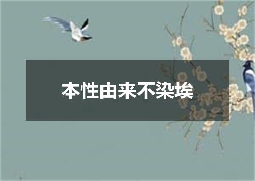 本性由来不染埃