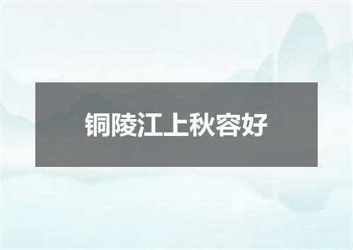 铜陵江上秋容好