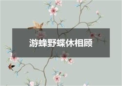 游蜂野蝶休相顾