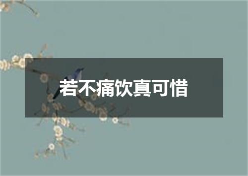 若不痛饮真可惜