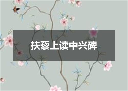 扶藜上读中兴碑