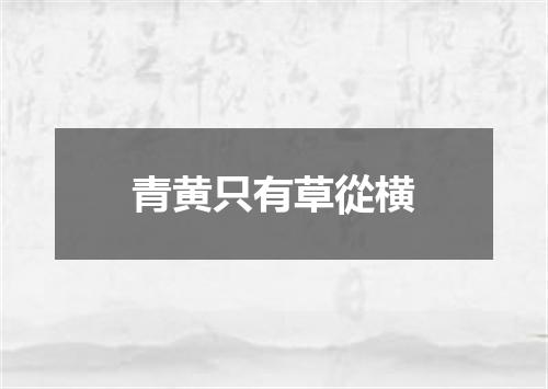 青黄只有草從横