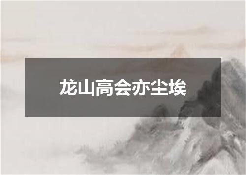 龙山高会亦尘埃