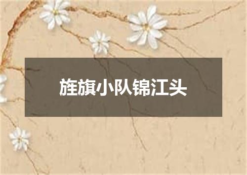 旌旗小队锦江头