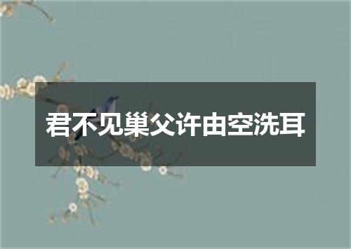 君不见巢父许由空洗耳