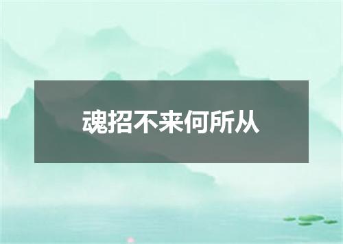 魂招不来何所从