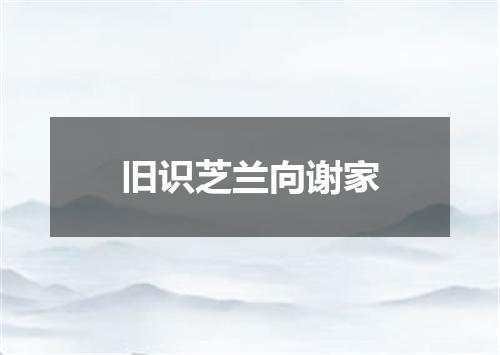 旧识芝兰向谢家
