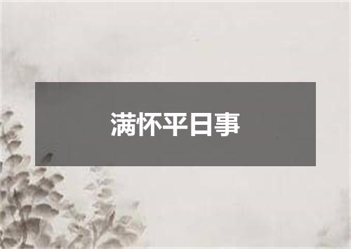 满怀平日事
