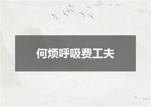 何烦呼吸费工夫
