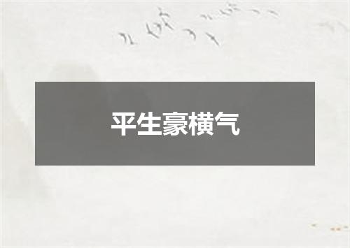 平生豪横气