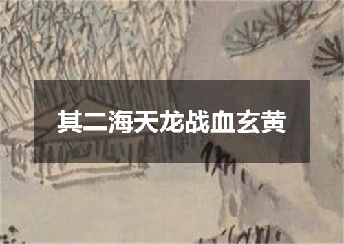 其二海天龙战血玄黄