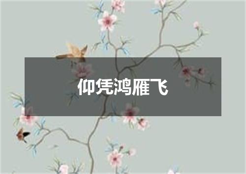 仰凭鸿雁飞