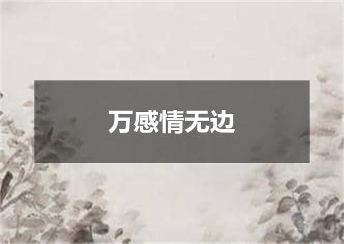 万感情无边