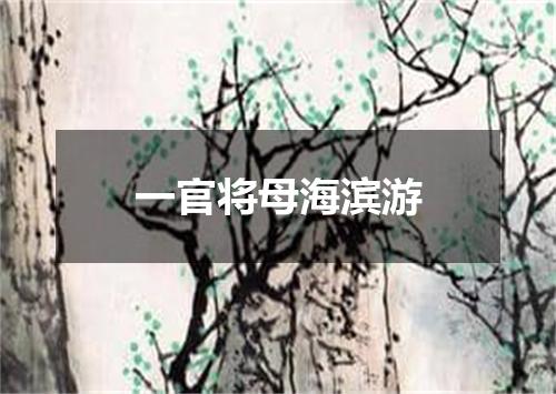 一官将母海滨游