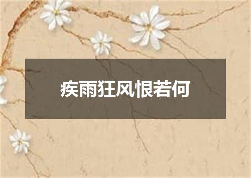 疾雨狂风恨若何