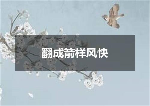 翻成箭样风快