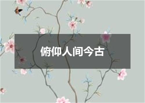俯仰人间今古