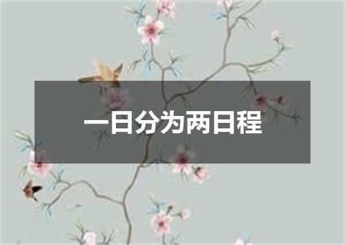 一日分为两日程