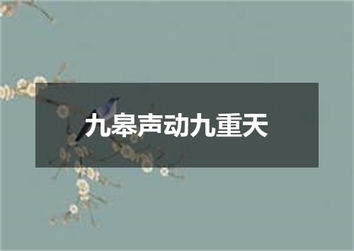 九皋声动九重天